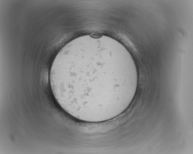 X0000114650021200911171059