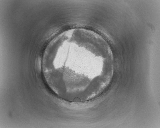 X0000114650022200911171059