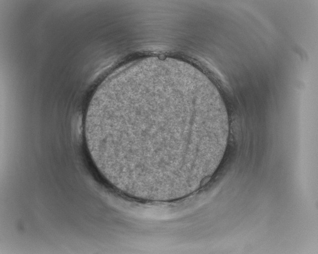 X0000114650024200911171059