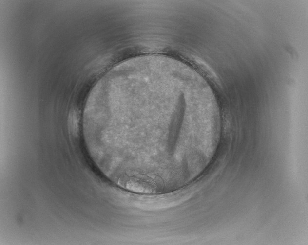 X0000114650026200911171059