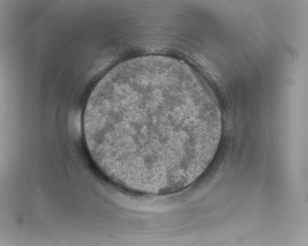 X0000114650028200911171059