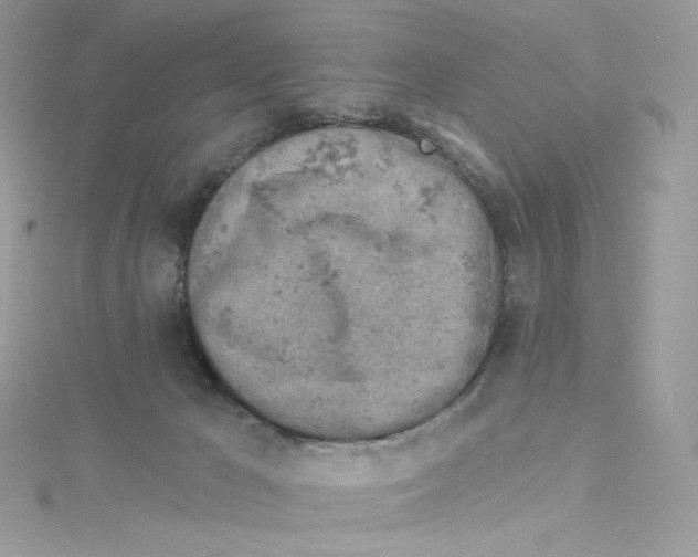 X0000114650029200911171059