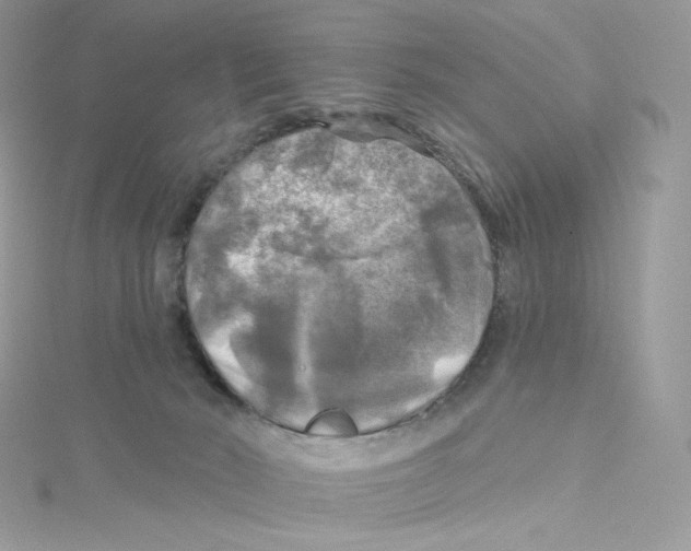 X0000114650030200911171059