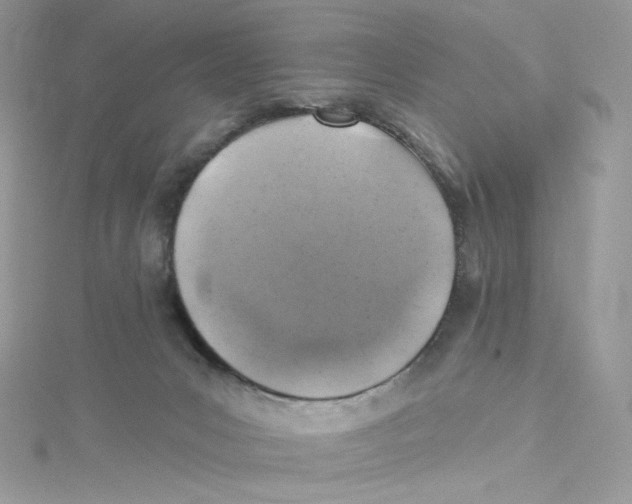 X0000114650031200911171059