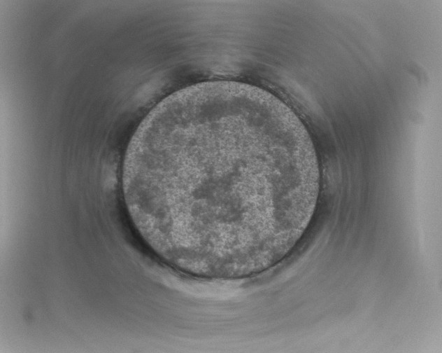 X0000114650032200911171059