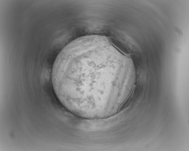 X0000114650033200911171059