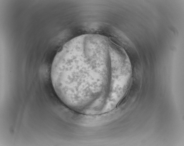 X0000114650037200911171059