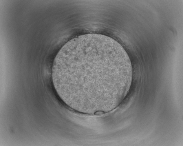 X0000114650040200911171059