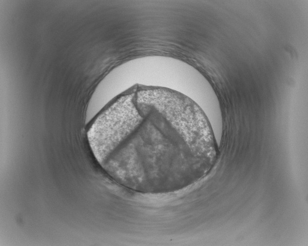 X0000114650041200911171059