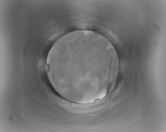 X0000114650043200911171059