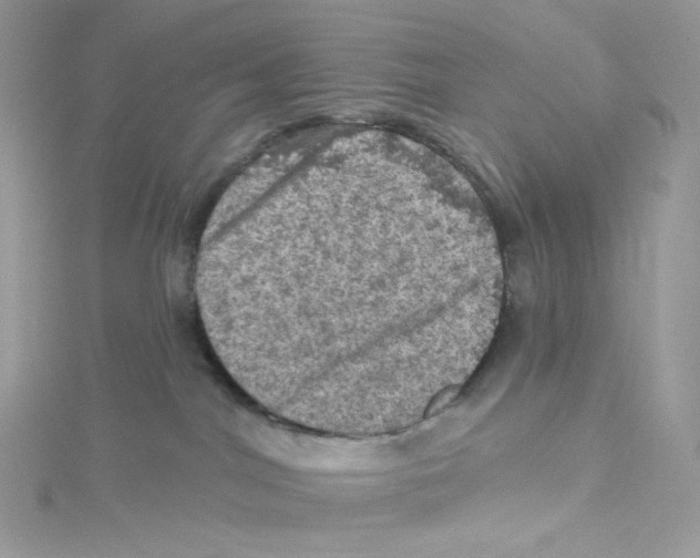 X0000114650044200911171059