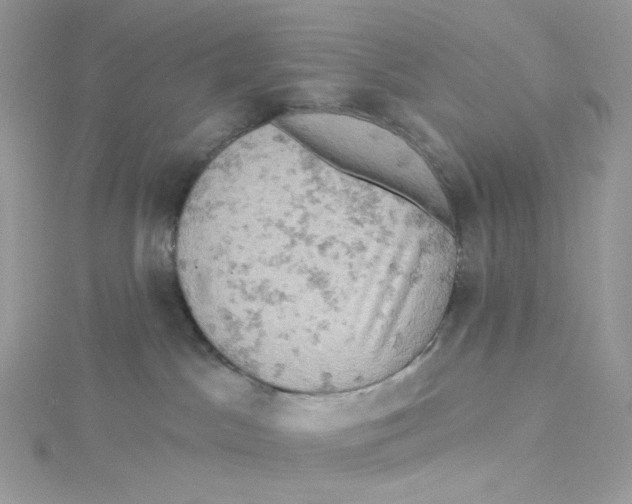 X0000114650045200911171059