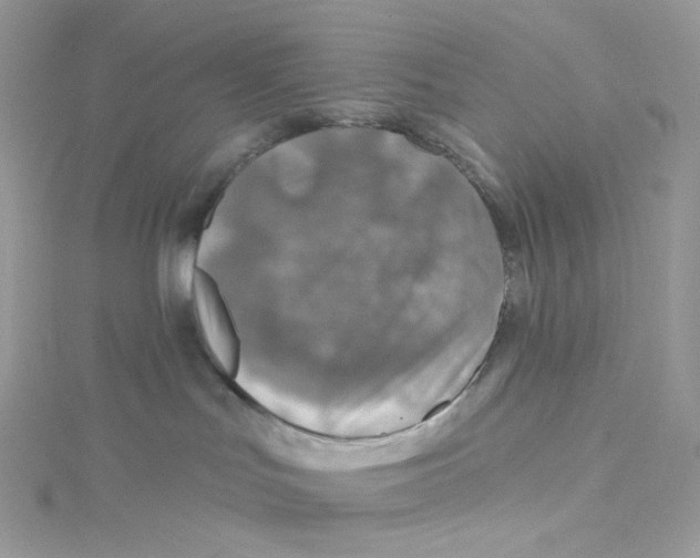 X0000114650047200911171059