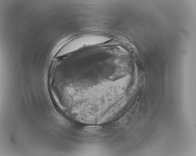 X0000114650051200911171058