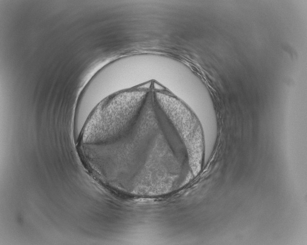 X0000114650052200911171058