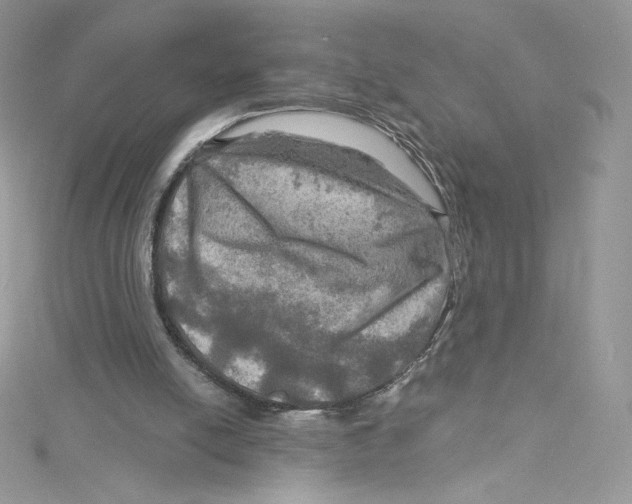 X0000114650054200911171058