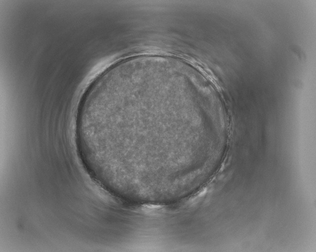 X0000114650055200911171058