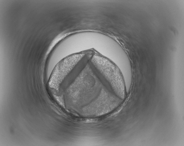 X0000114650056200911171058