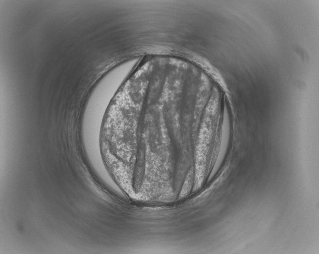 X0000114650057200911171058