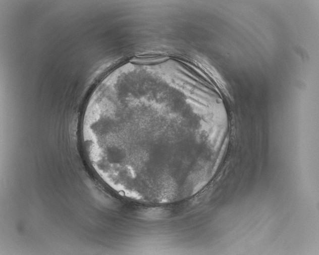 X0000114650058200911171058