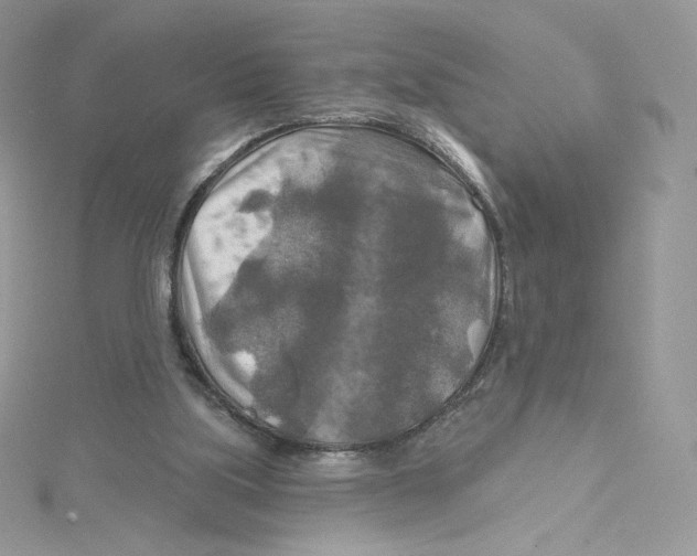 X0000114650059200911171058