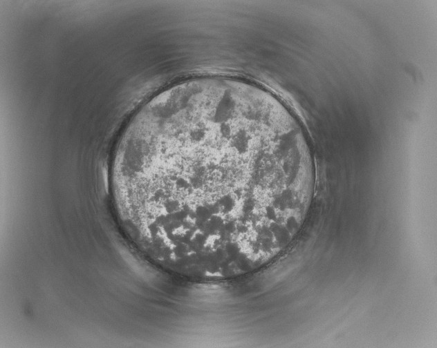 X0000114650061200911171058