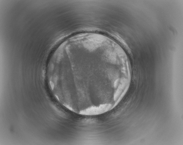 X0000114650063200911171058