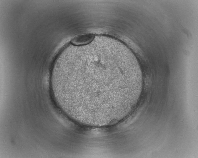 X0000114650064200911171058