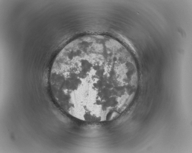 X0000114650065200911171059