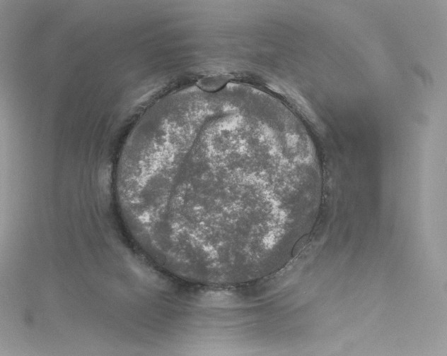 X0000114650066200911171059