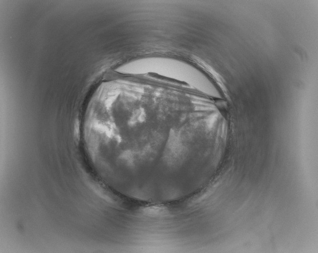 X0000114650067200911171059