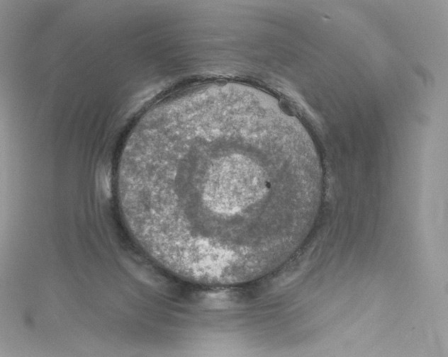 X0000114650068200911171059