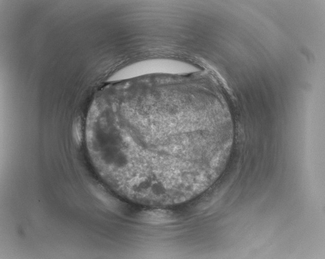 X0000114650069200911171059