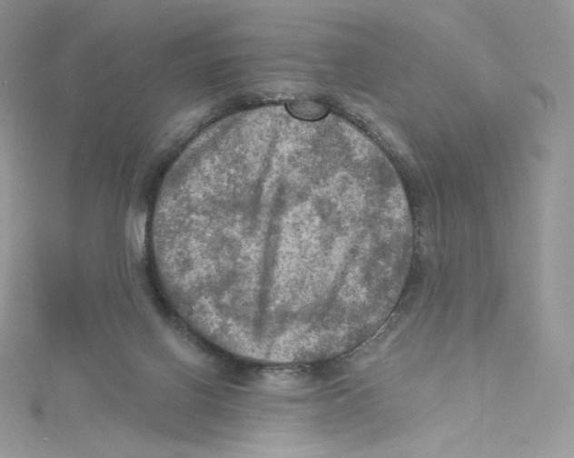 X0000114650070200911171059