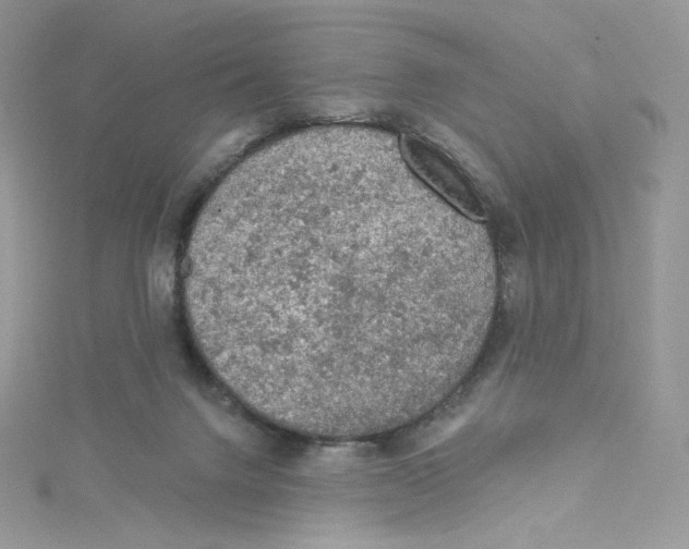 X0000114650072200911171059