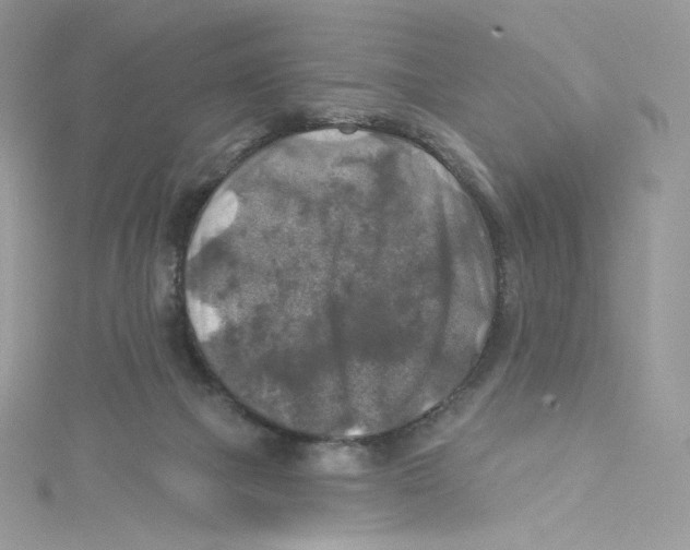 X0000114650073200911171059