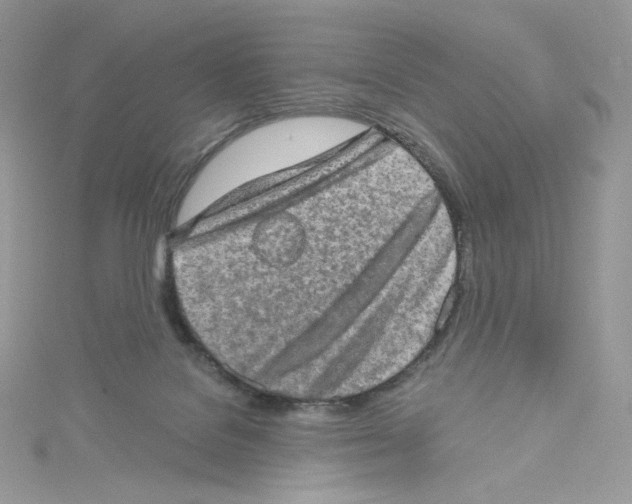 X0000114650076200911171059