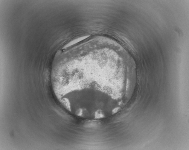 X0000114650077200911171059