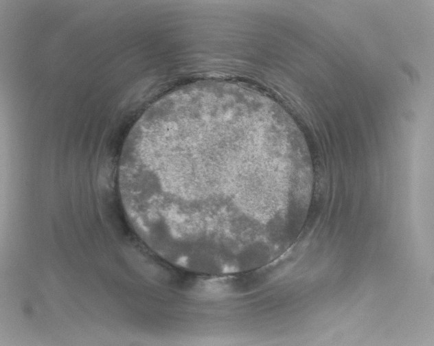 X0000114650078200911171059