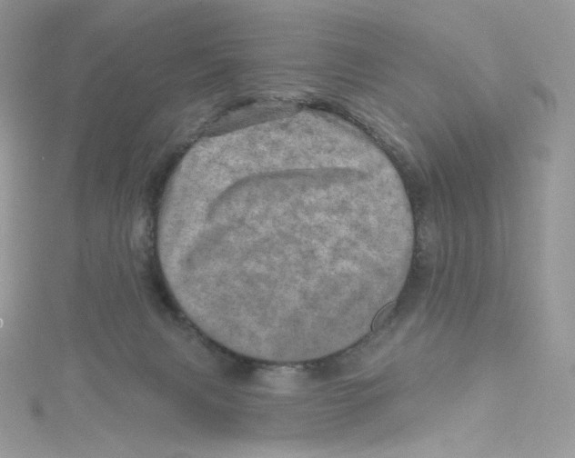 X0000114650079200911171059