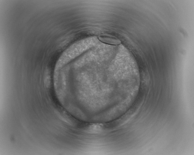 X0000114650080200911171059