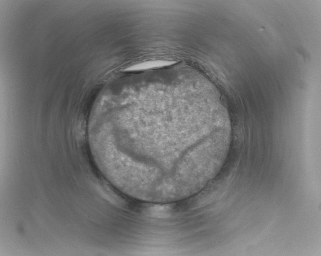 X0000114650081200911171059