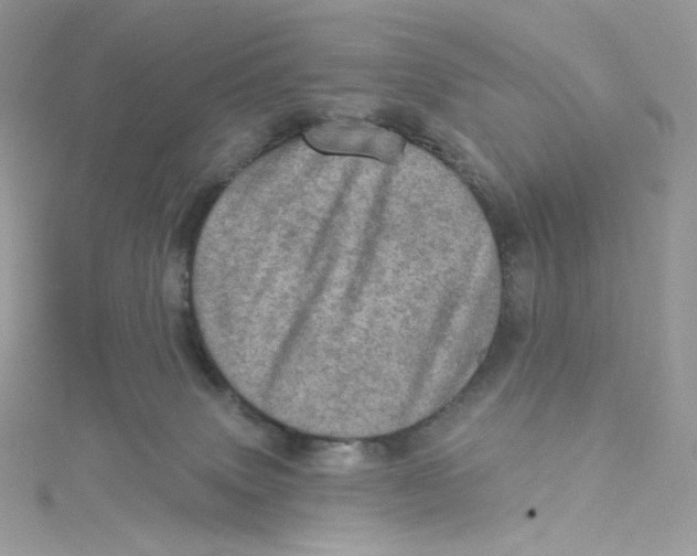 X0000114650083200911171059