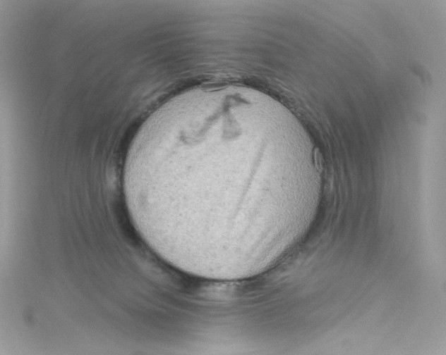 X0000114650084200911171059