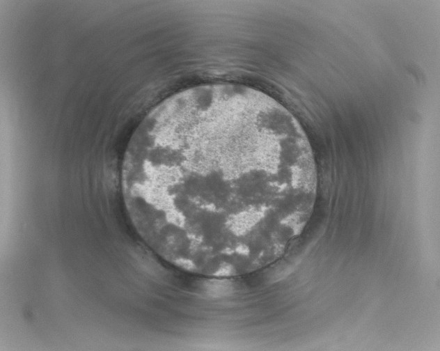 X0000114650085200911171059