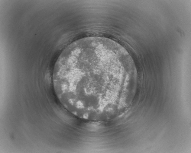 X0000114650086200911171059