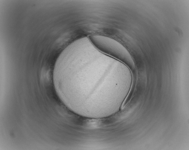 X0000114650088200911171059