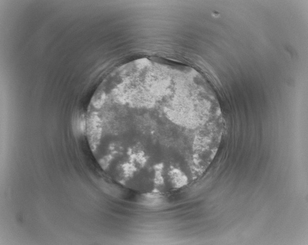 X0000114650095200911171059