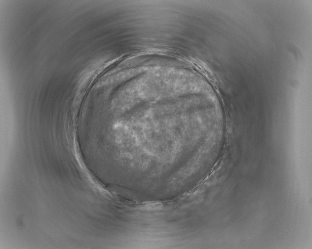 X0000114650097200911171058