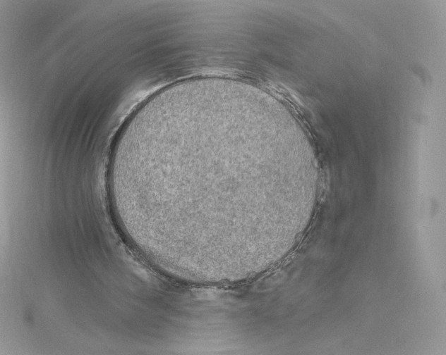 X0000114650098200911171058